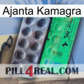 Ajanta Kamagra new04